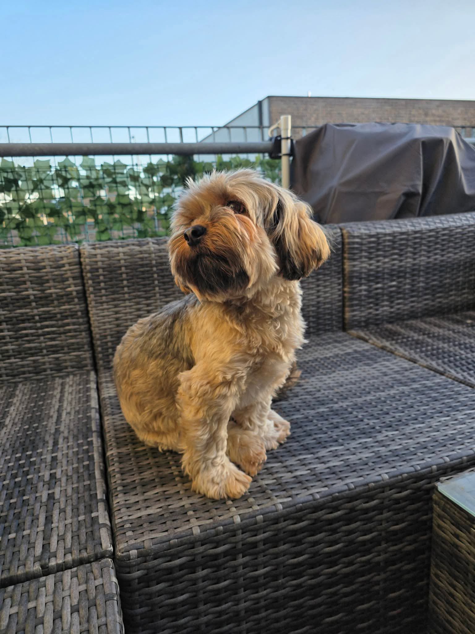 Foto van Lori