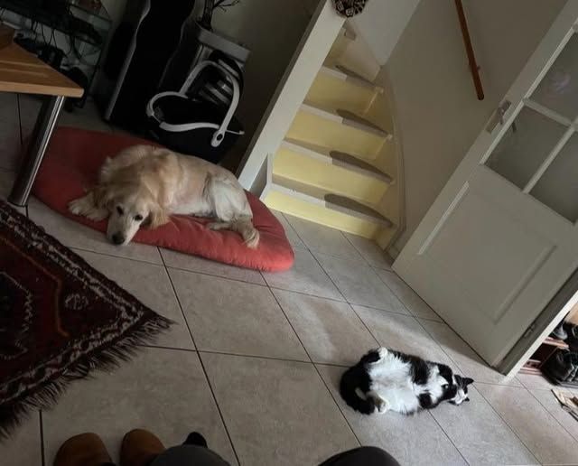 Foto van Bella
