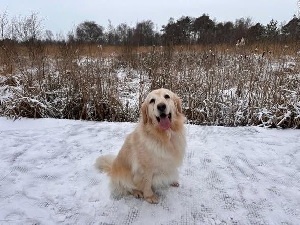 Foto van Woezel