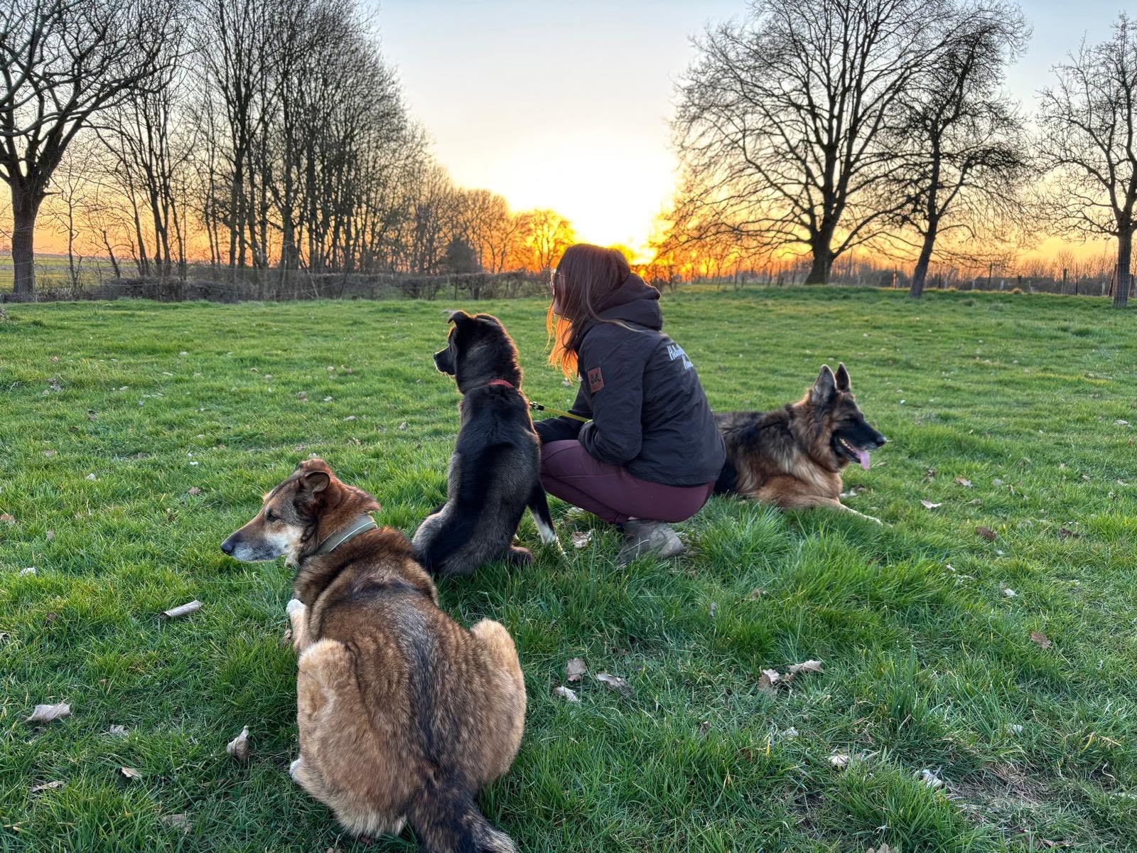Foto van Belle