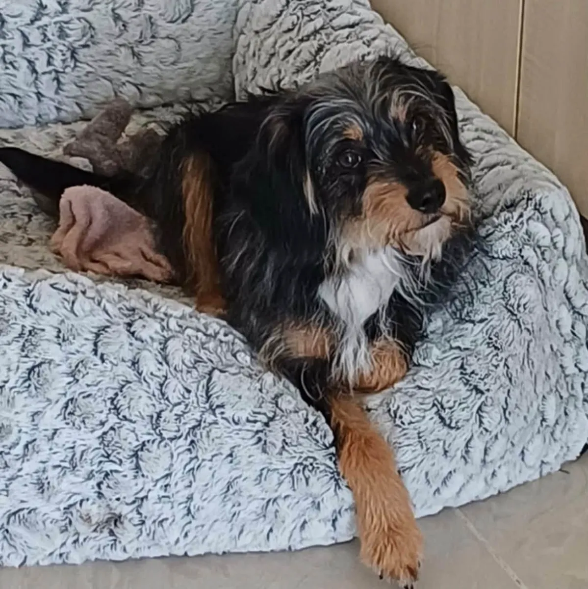 Foto van Roxy