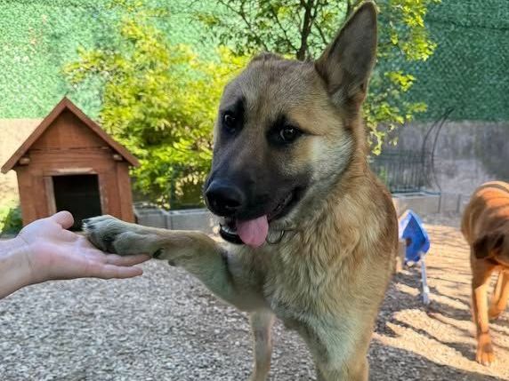Foto van Maya
