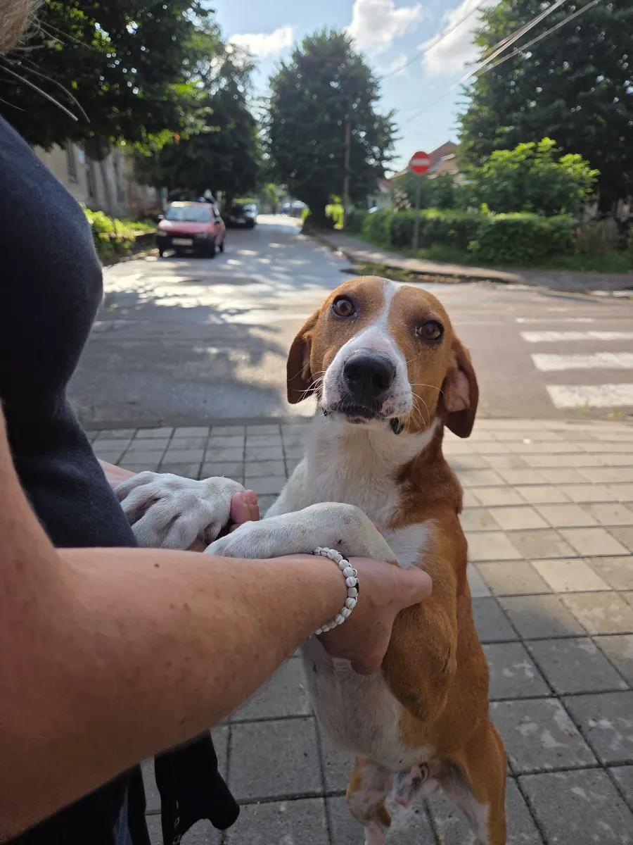 Foto van Beni