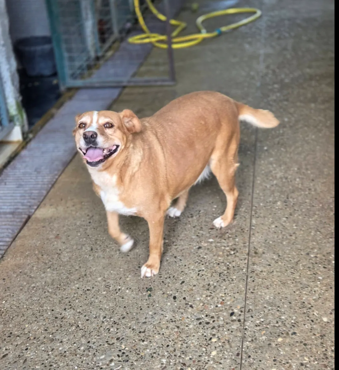 Foto van Zoey